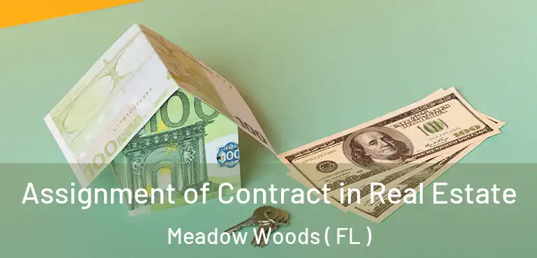  Assignment of Contract in Real Estate Meadow Woods ( FL )
