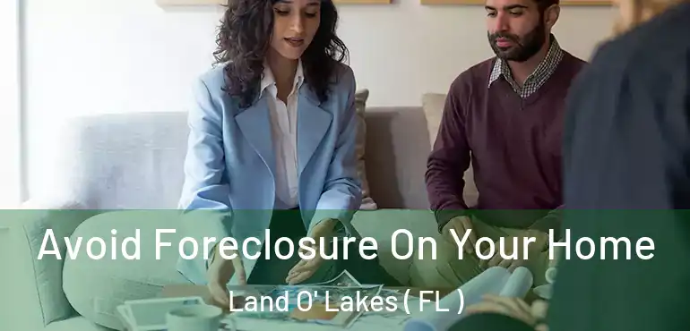  Avoid Foreclosure On Your Home Land O' Lakes ( FL )