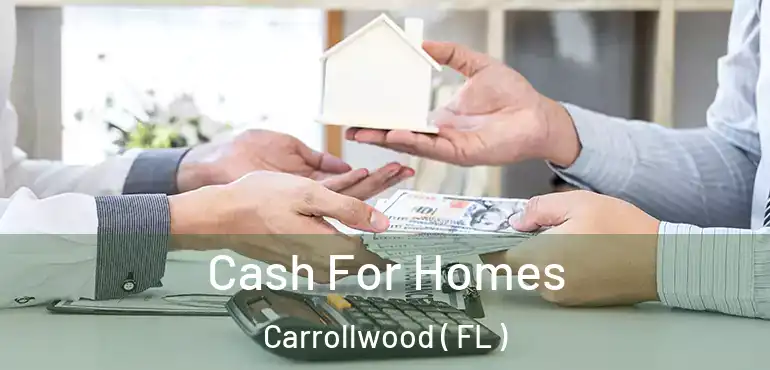  Cash For Homes Carrollwood ( FL )