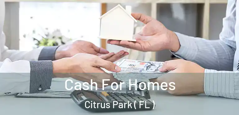  Cash For Homes Citrus Park ( FL )