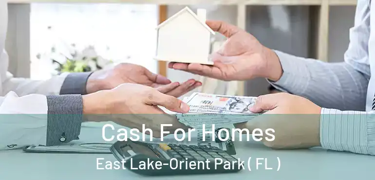  Cash For Homes East Lake-Orient Park ( FL )