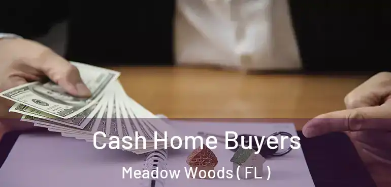  Cash Home Buyers Meadow Woods ( FL )