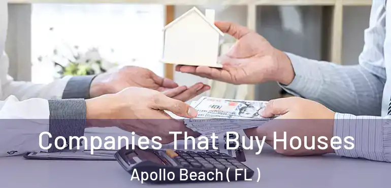  Companies That Buy Houses Apollo Beach ( FL )