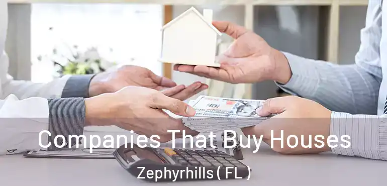  Companies That Buy Houses Zephyrhills ( FL )