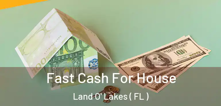  Fast Cash For House Land O' Lakes ( FL )