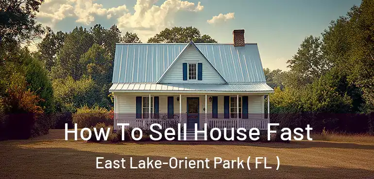  How To Sell House Fast East Lake-Orient Park ( FL )