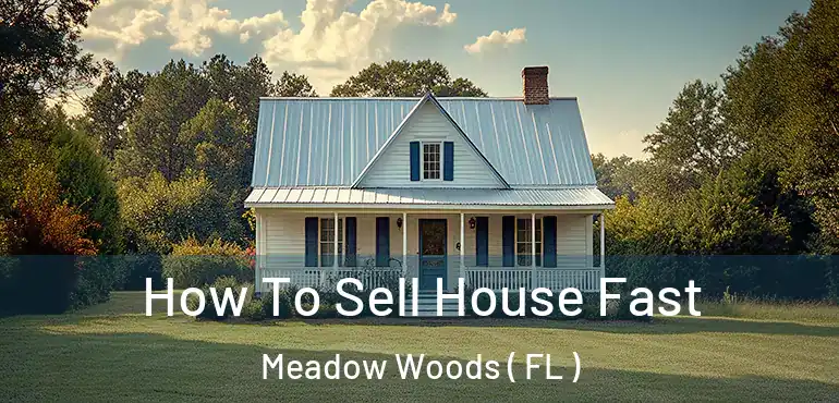  How To Sell House Fast Meadow Woods ( FL )
