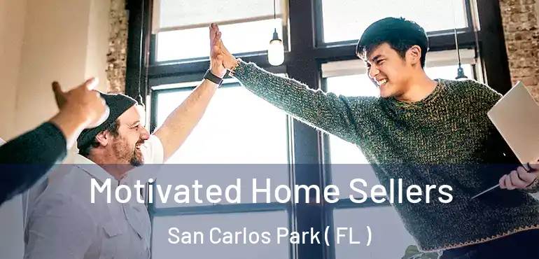  Motivated Home Sellers San Carlos Park ( FL )