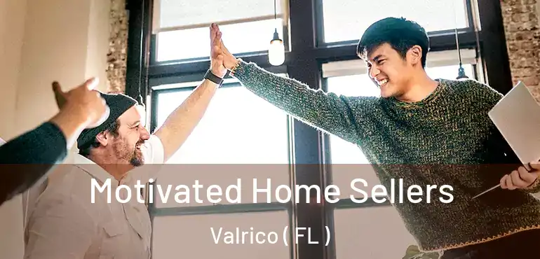  Motivated Home Sellers Valrico ( FL )