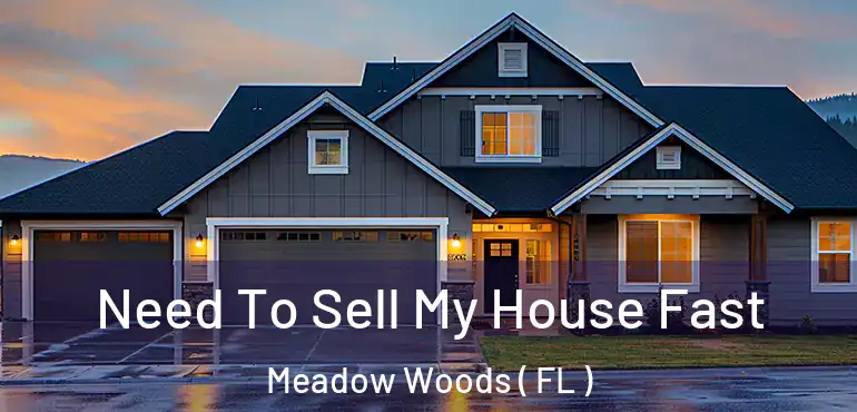  Need To Sell My House Fast Meadow Woods ( FL )