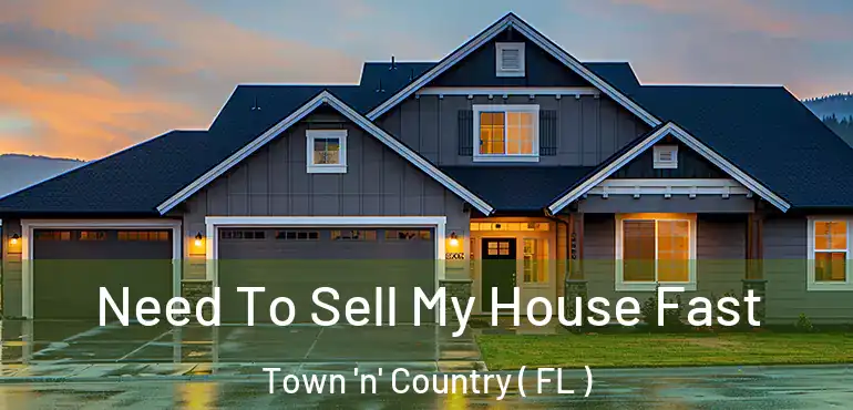  Need To Sell My House Fast Town 'n' Country ( FL )