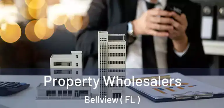  Property Wholesalers Bellview ( FL )