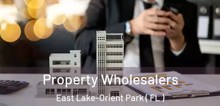  Property Wholesalers East Lake-Orient Park ( FL )