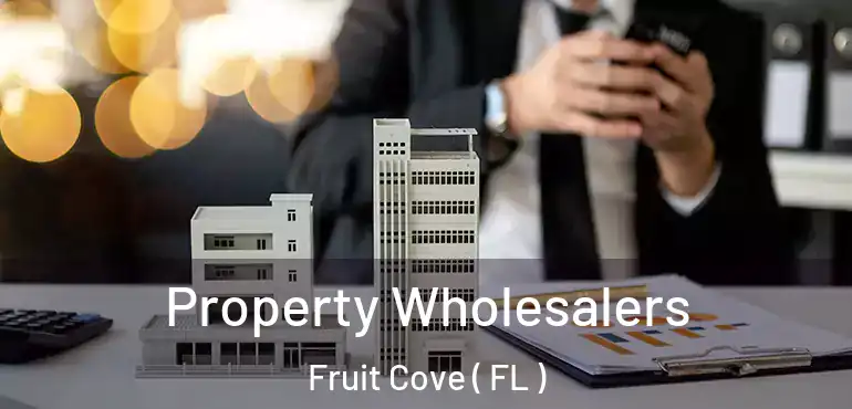 Property Wholesalers Fruit Cove ( FL )