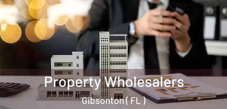 Property Wholesalers Gibsonton ( FL )