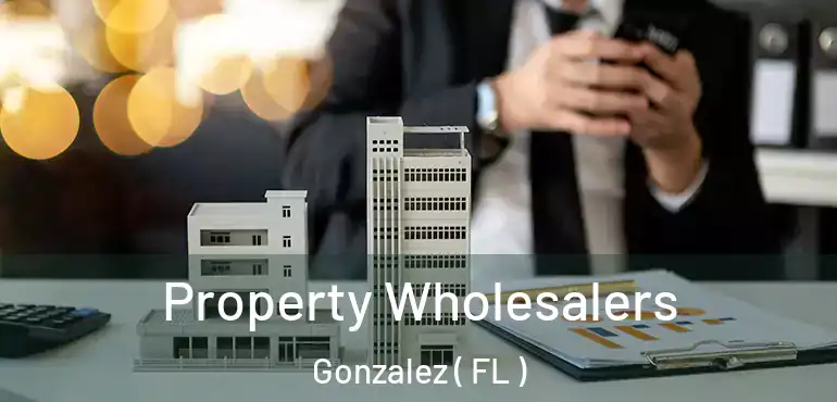  Property Wholesalers Gonzalez ( FL )
