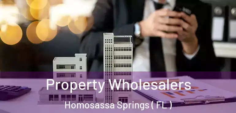  Property Wholesalers Homosassa Springs ( FL )