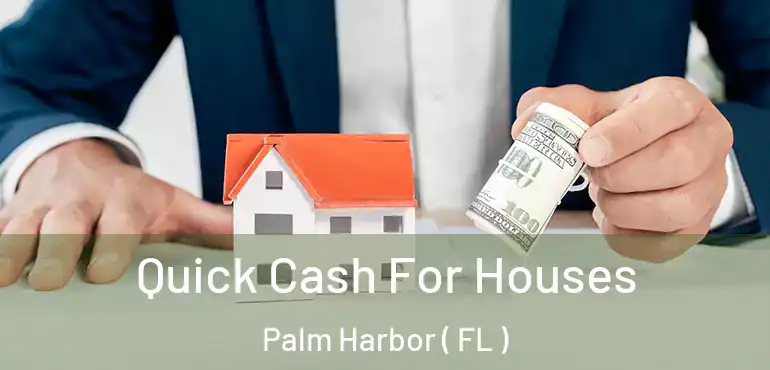 Quick Cash For Houses Palm Harbor ( FL )
