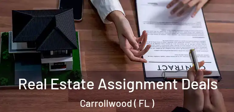  Real Estate Assignment Deals Carrollwood ( FL )
