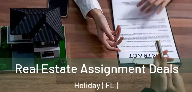  Real Estate Assignment Deals Holiday ( FL )