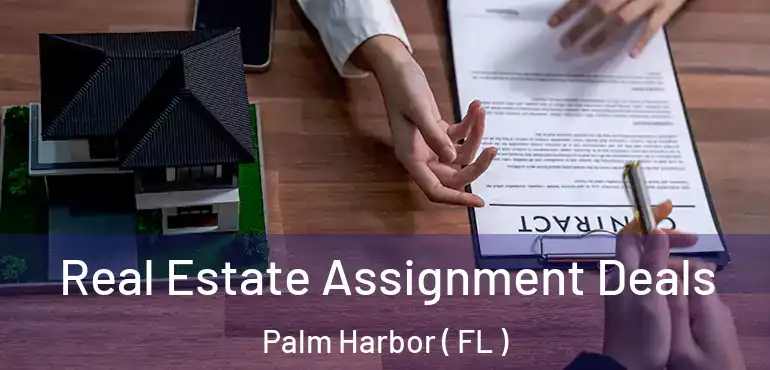 Real Estate Assignment Deals Palm Harbor ( FL )