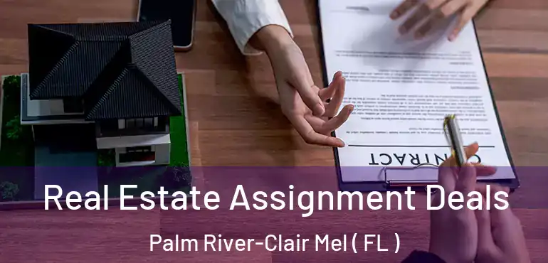  Real Estate Assignment Deals Palm River-Clair Mel ( FL )