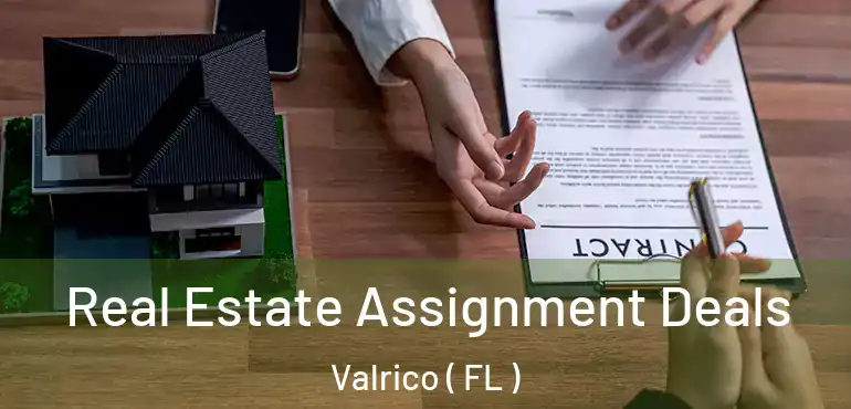  Real Estate Assignment Deals Valrico ( FL )