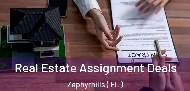  Real Estate Assignment Deals Zephyrhills ( FL )