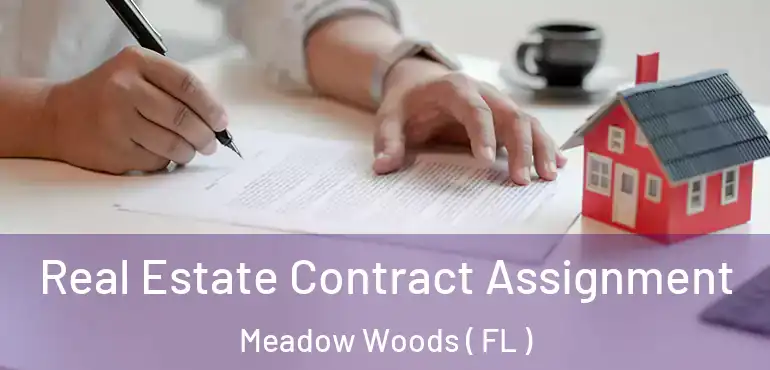  Real Estate Contract Assignment Meadow Woods ( FL )