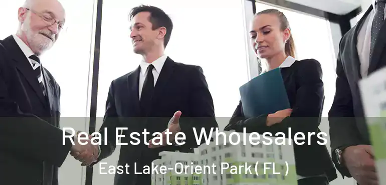  Real Estate Wholesalers East Lake-Orient Park ( FL )