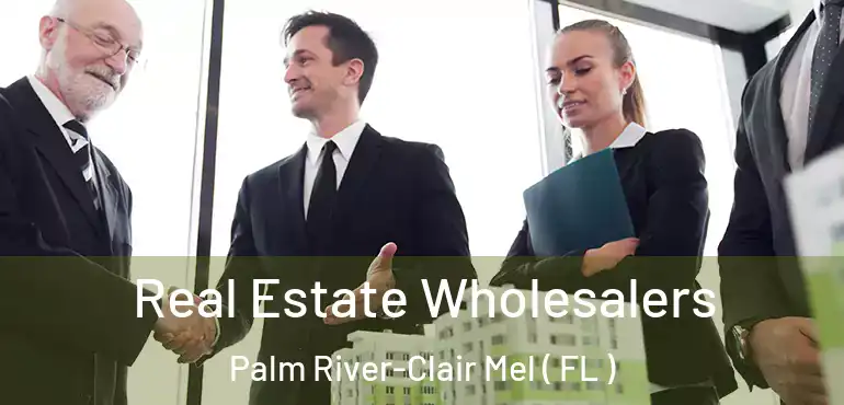  Real Estate Wholesalers Palm River-Clair Mel ( FL )
