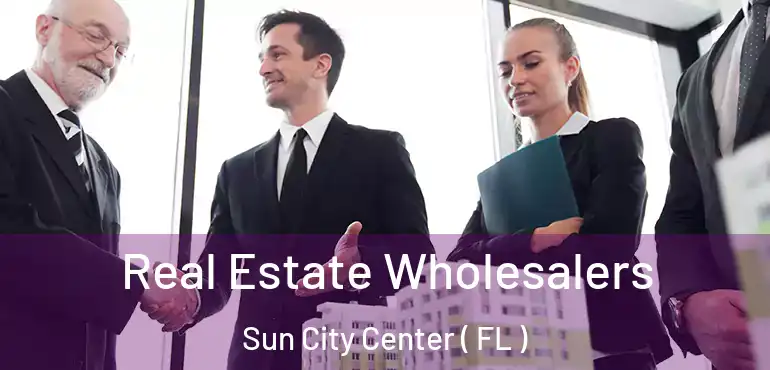  Real Estate Wholesalers Sun City Center ( FL )