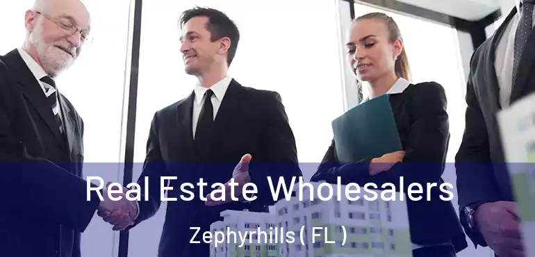  Real Estate Wholesalers Zephyrhills ( FL )