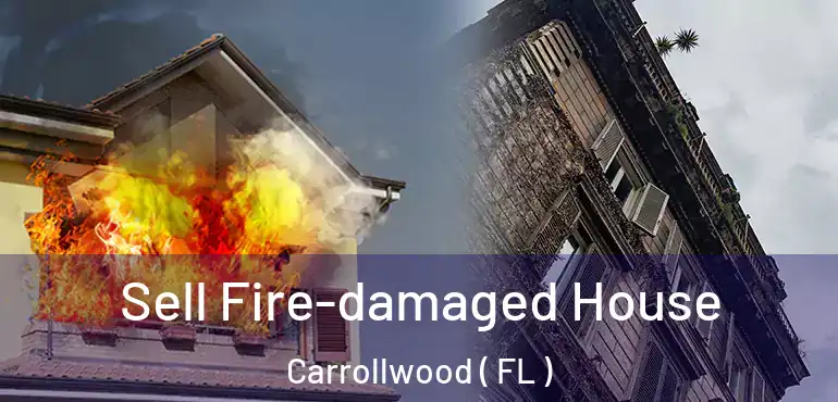  Sell Fire-damaged House Carrollwood ( FL )