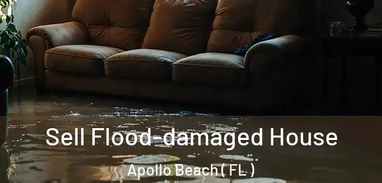  Sell Flood-damaged House Apollo Beach ( FL )