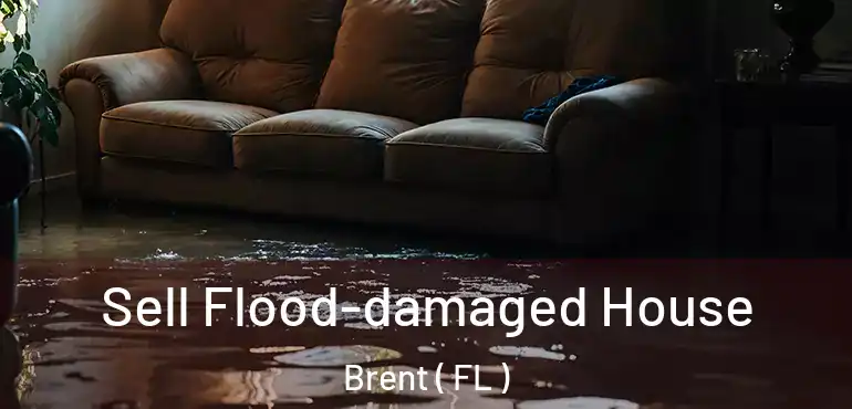  Sell Flood-damaged House Brent ( FL )