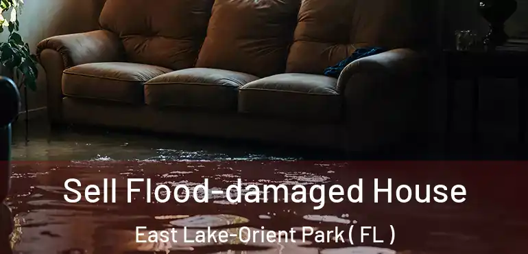  Sell Flood-damaged House East Lake-Orient Park ( FL )