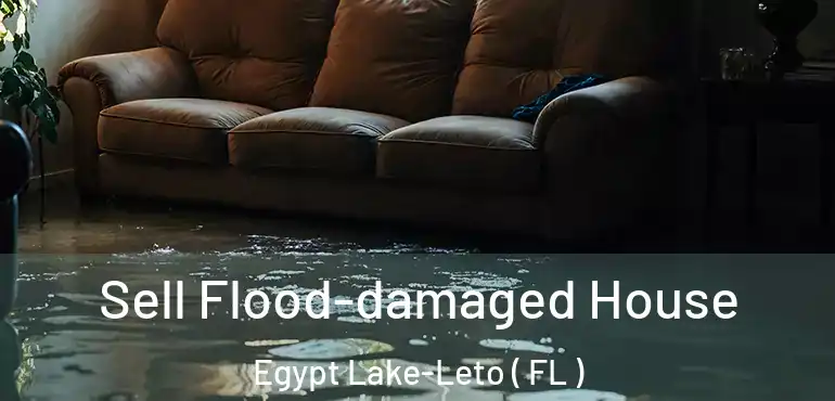  Sell Flood-damaged House Egypt Lake-Leto ( FL )