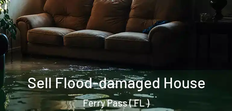  Sell Flood-damaged House Ferry Pass ( FL )