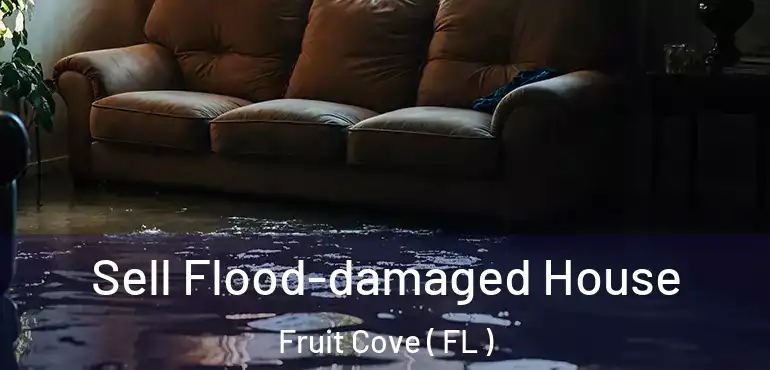  Sell Flood-damaged House Fruit Cove ( FL )