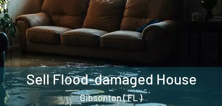  Sell Flood-damaged House Gibsonton ( FL )