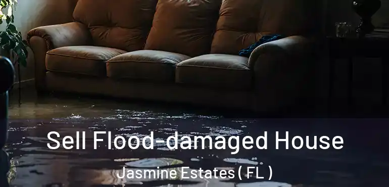  Sell Flood-damaged House Jasmine Estates ( FL )