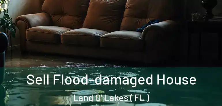  Sell Flood-damaged House Land O' Lakes ( FL )