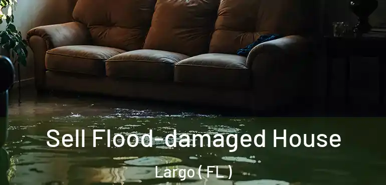  Sell Flood-damaged House Largo ( FL )