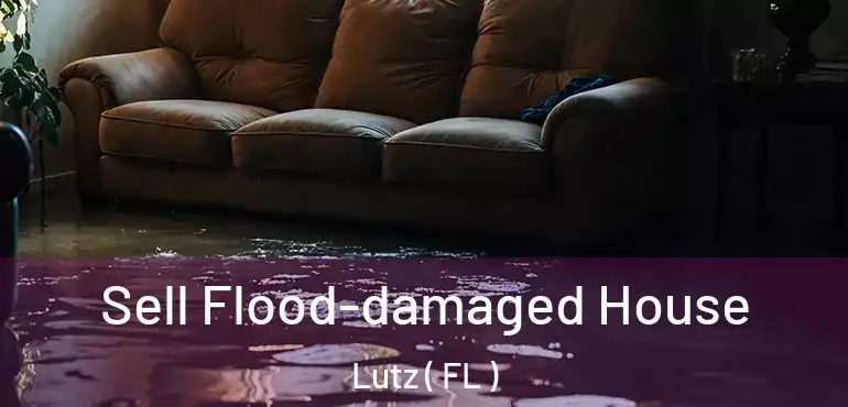  Sell Flood-damaged House Lutz ( FL )