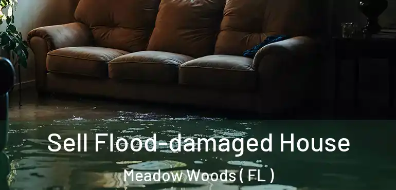  Sell Flood-damaged House Meadow Woods ( FL )