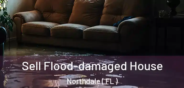  Sell Flood-damaged House Northdale ( FL )