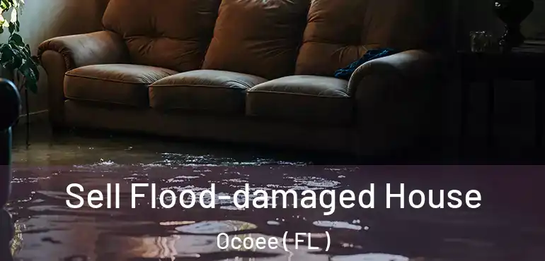  Sell Flood-damaged House Ocoee ( FL )