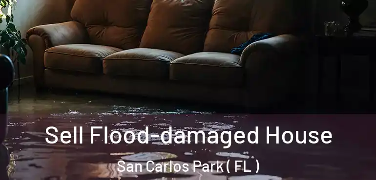  Sell Flood-damaged House San Carlos Park ( FL )