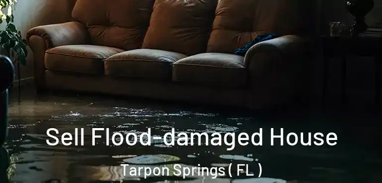  Sell Flood-damaged House Tarpon Springs ( FL )